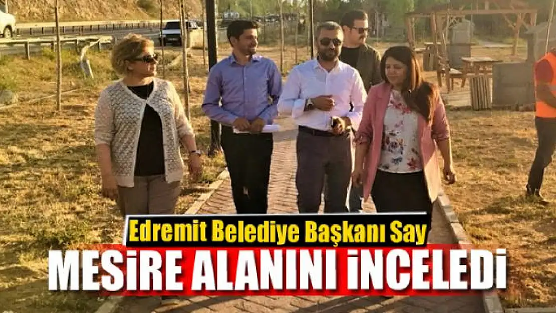 Başkan Say, mesire alanında incelemelerde bulundu