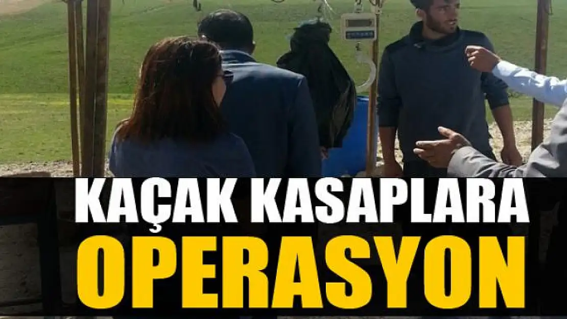 Jandarma destekli kaçak kasap operasyonu