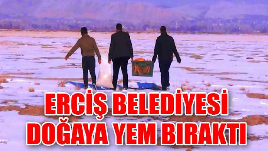 Erciş Belediyesi, yaban hayvanları için doğaya yem bıraktı