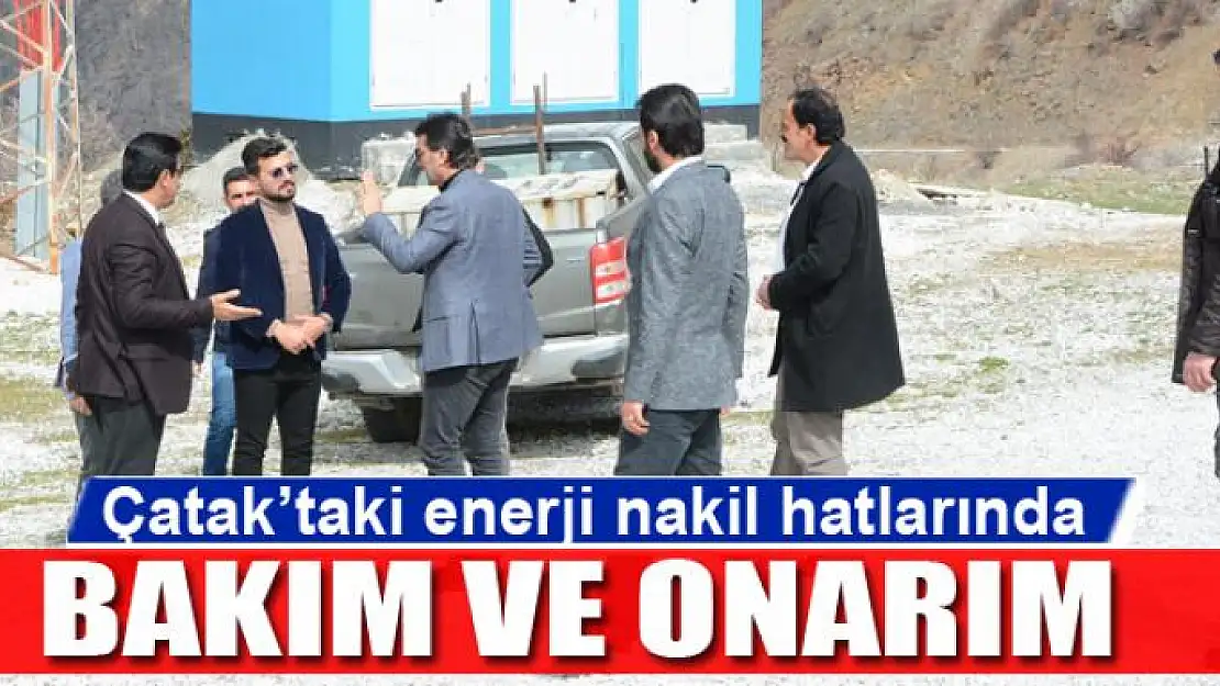 Çatak'taki enerji nakil hatlarında bakım ve onarım