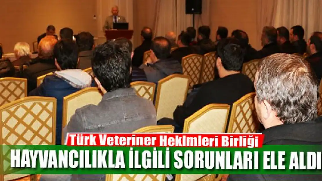 Türk Veteriner Hekimleri Birliği, hayvancılıkla ilgili sorunları ele aldı