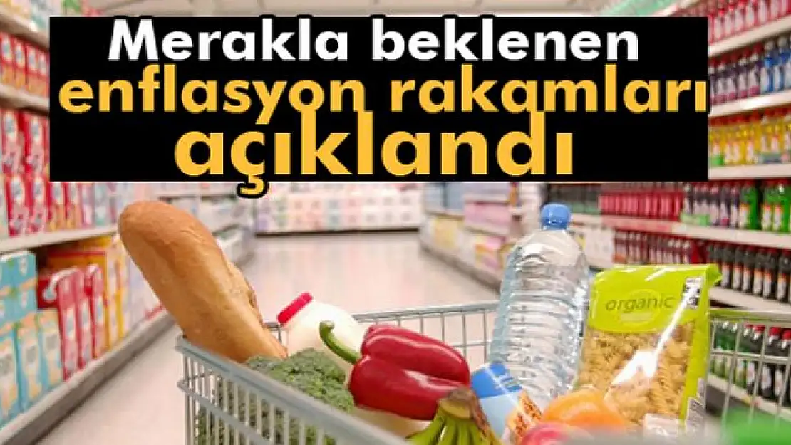 Enflasyon rakamları açıklandı