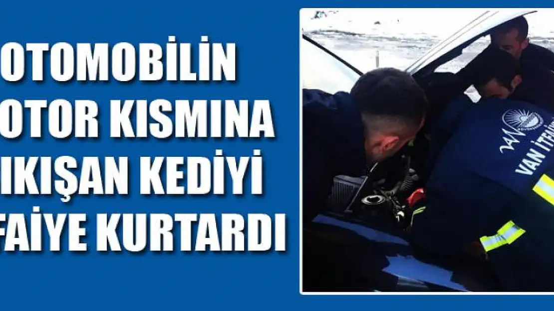 Otomobilin motor kısmına sıkışan kediyi itfaiye kurtardı