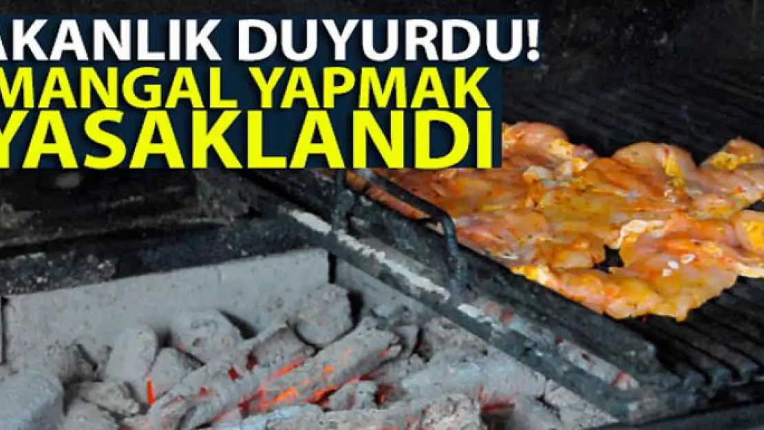 Bakanlık duyurdu! Mangal yapmak yasaklandı