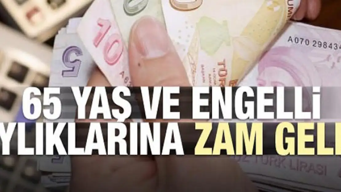 65 yaş ve engelli aylıklarına zam geldi