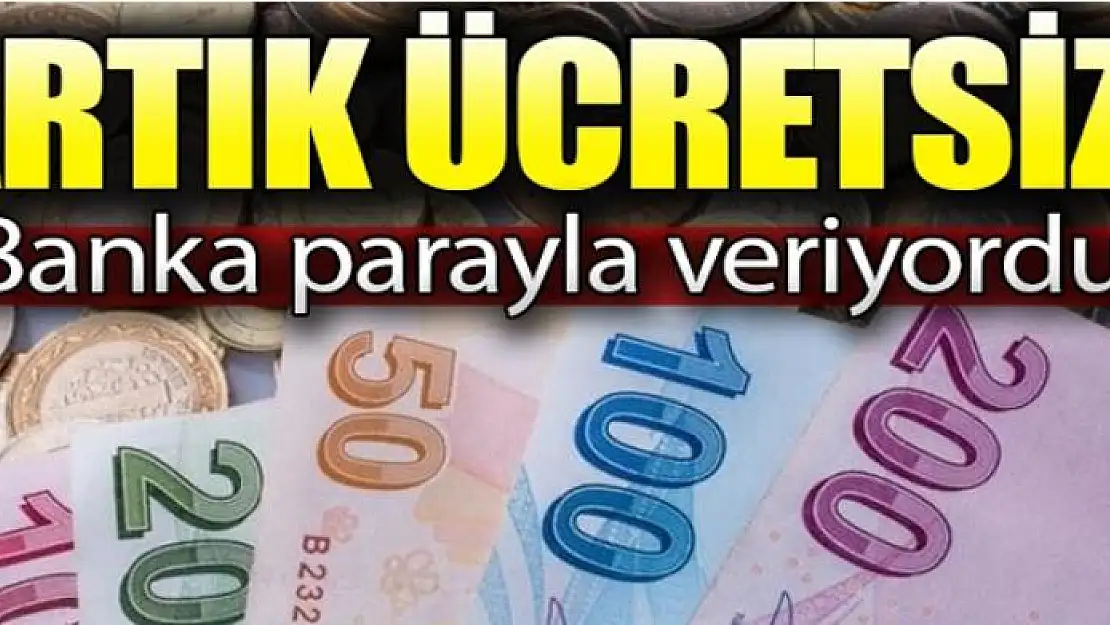 Bankada 16 lira e-Devlet'te ücretsiz!