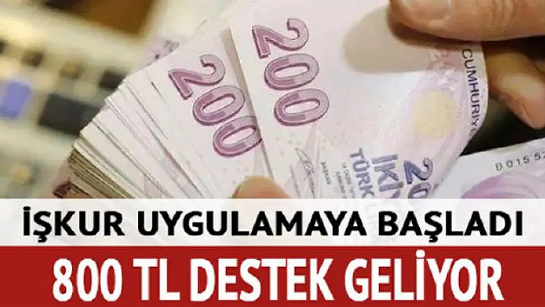 Yeni mezun genci işe alan işverene 800 TL destek