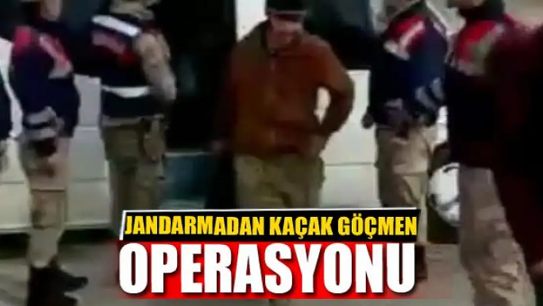 Jandarma saya saya bitiremedi