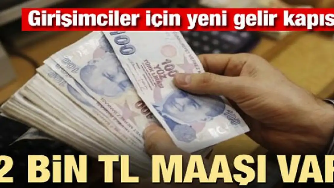 Yeni gelir kapısı! 12 bin TL maaşı var