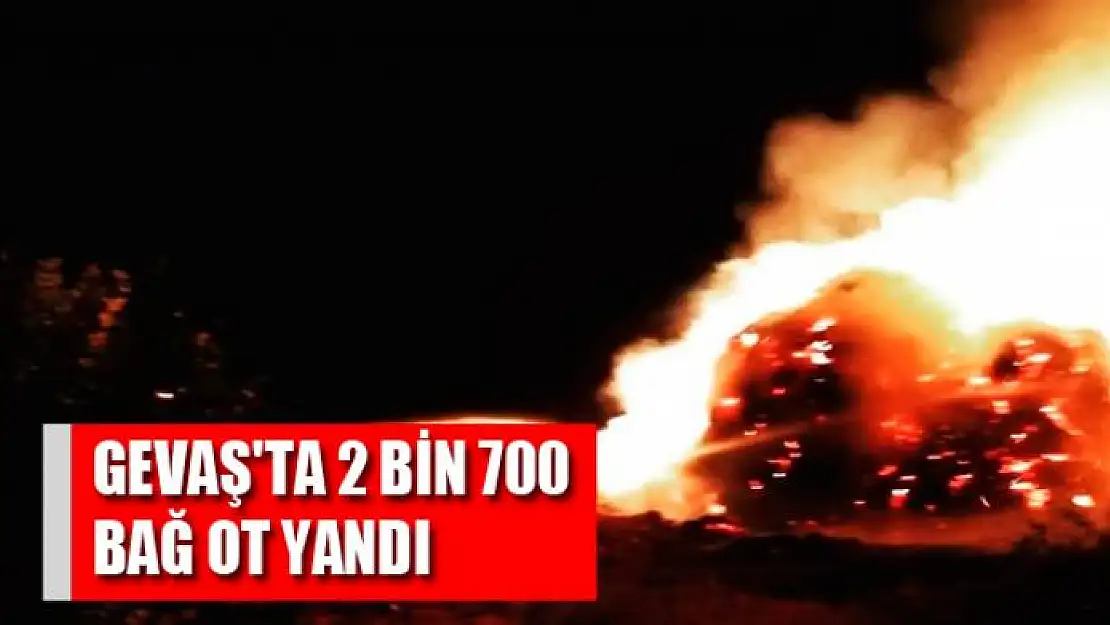 Gevaş'ta 2 bin 700 bağ ot yandı