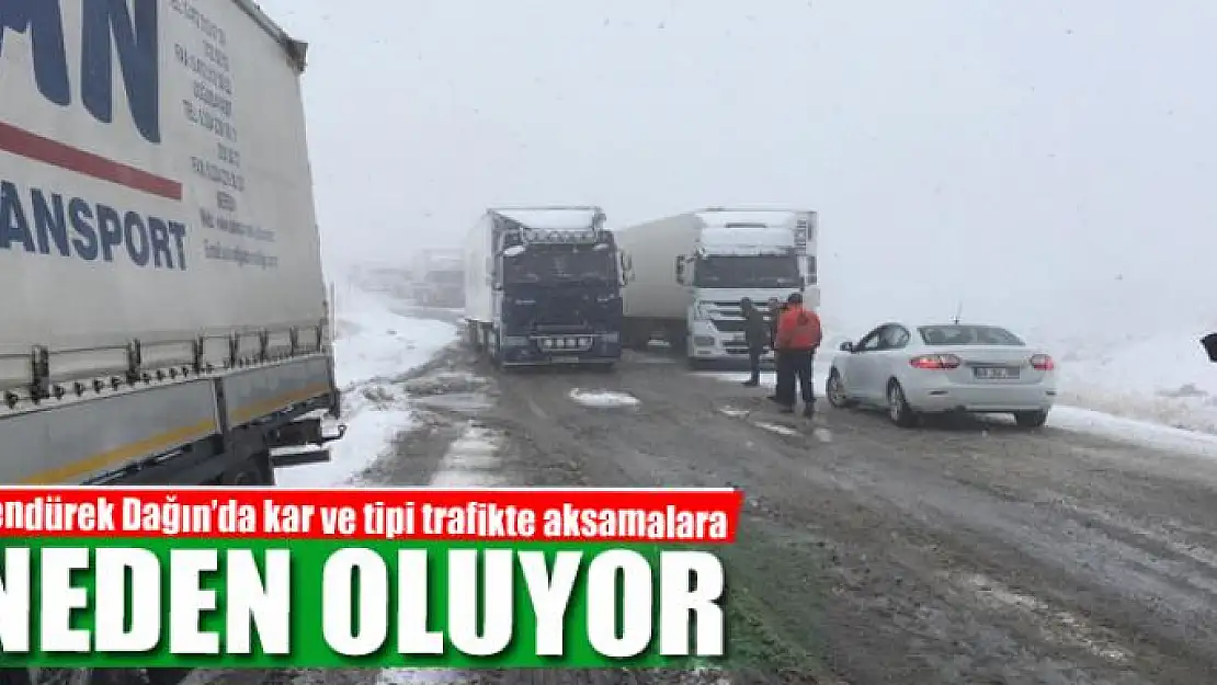 Tendürek Dağın'da kar ve tipi trafikte aksamalara neden oluyor