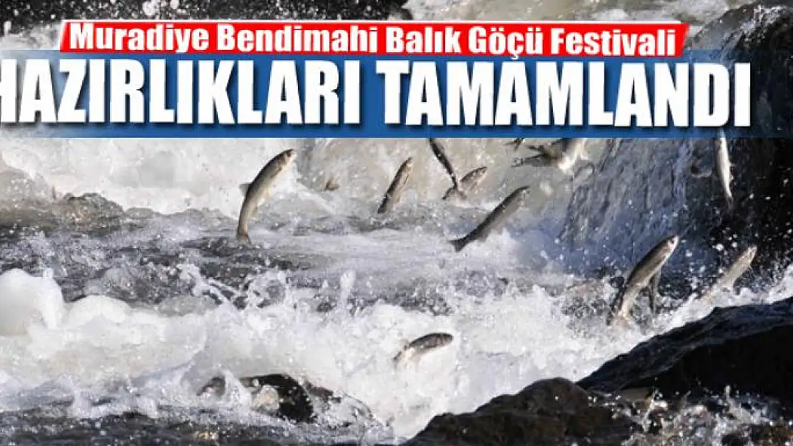 'Muradiye Bendimahi Balık Göçü Festivali' hazırlıkları tamamlandı 