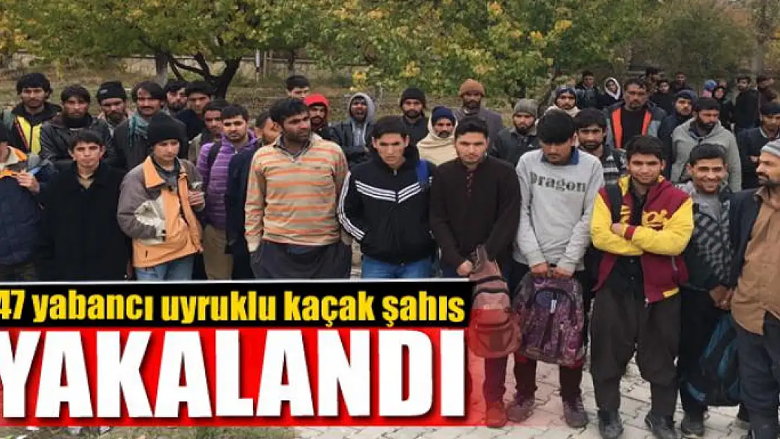 Van'da 47 yabancı uyruklu kaçak şahıs yakalandı