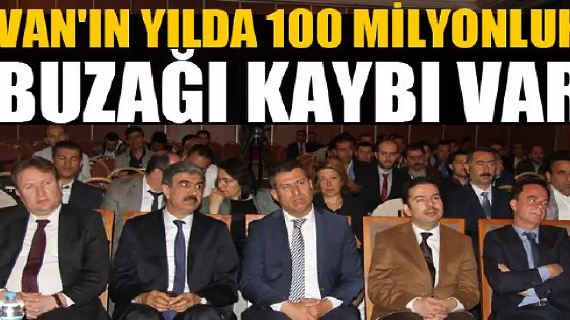 Van'ın yılda 100 milyonluk BUZAĞI KAYBI VAR