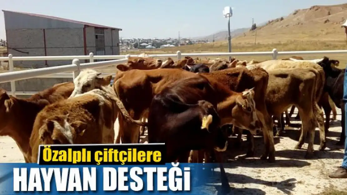 Özalplı çiftçilere hayvan desteği