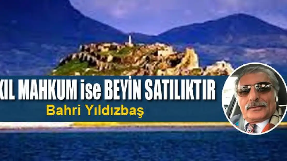 AKIL MAHKUM ise BEYİN SATILIKTIR