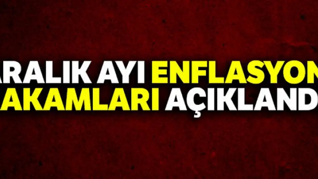 Aralık ayı enflasyon rakamları açıklandı