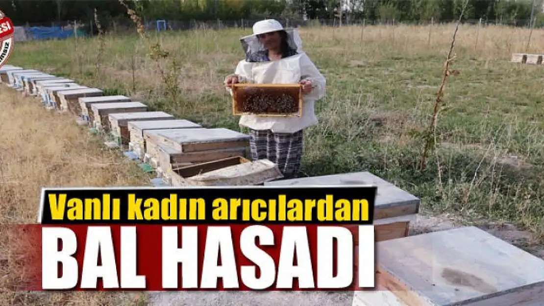 Vanlı kadın arıcılardan bal hasadı