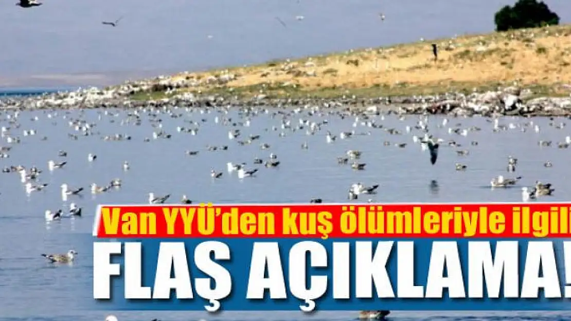 Van YYÜ'den kuş ölümleriyle ilgili flaş açıklama