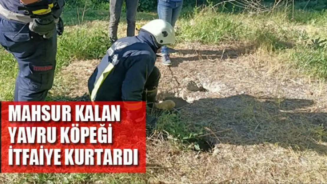 Mahsur kalan yavru köpeği itfaiye kurtardı