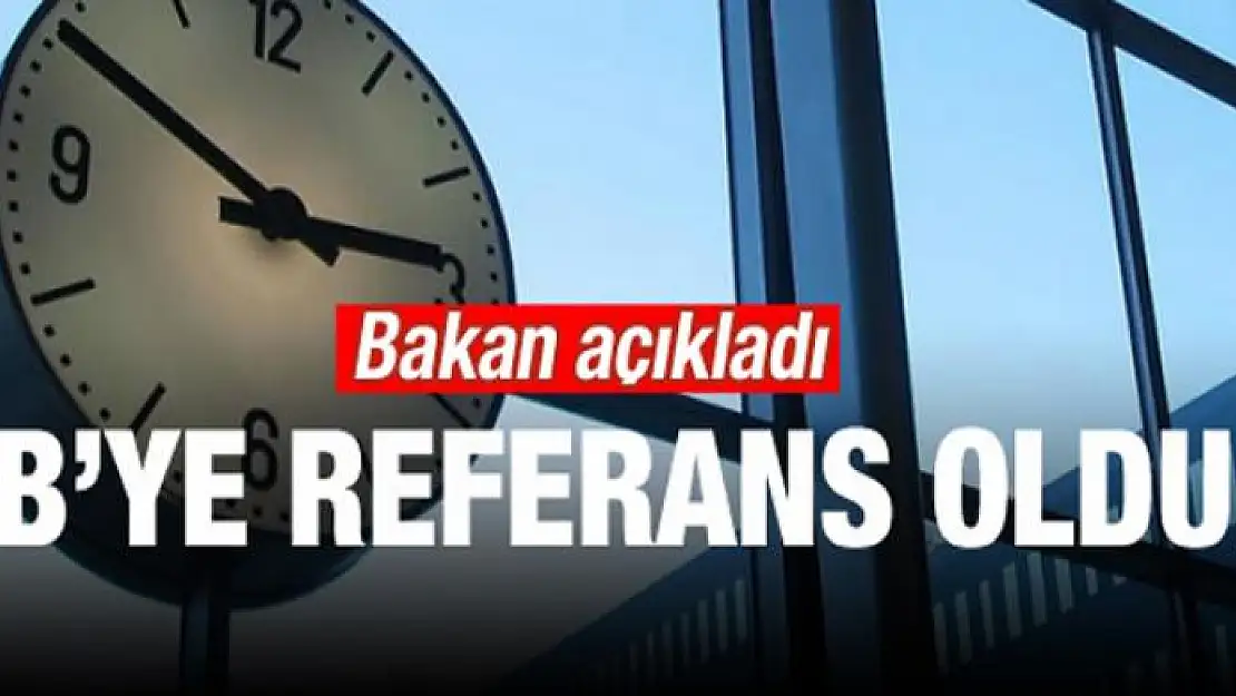 Bakan açıkladı! AB'ye referans olduk