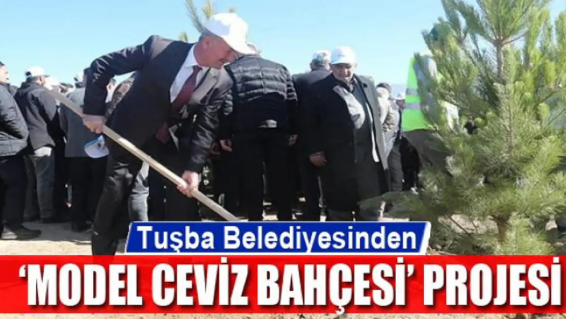 Tuşba Belediyesinden 'Model Ceviz Bahçesi' Projesi