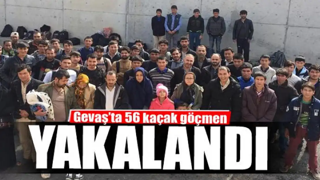 56 kaçak göçmen yakalandı