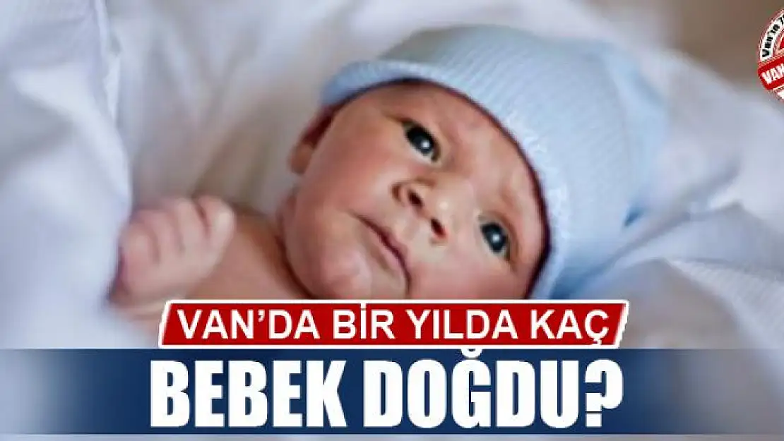 VAN'DA BİR YILDA KAÇ BEBEK DOĞDU?