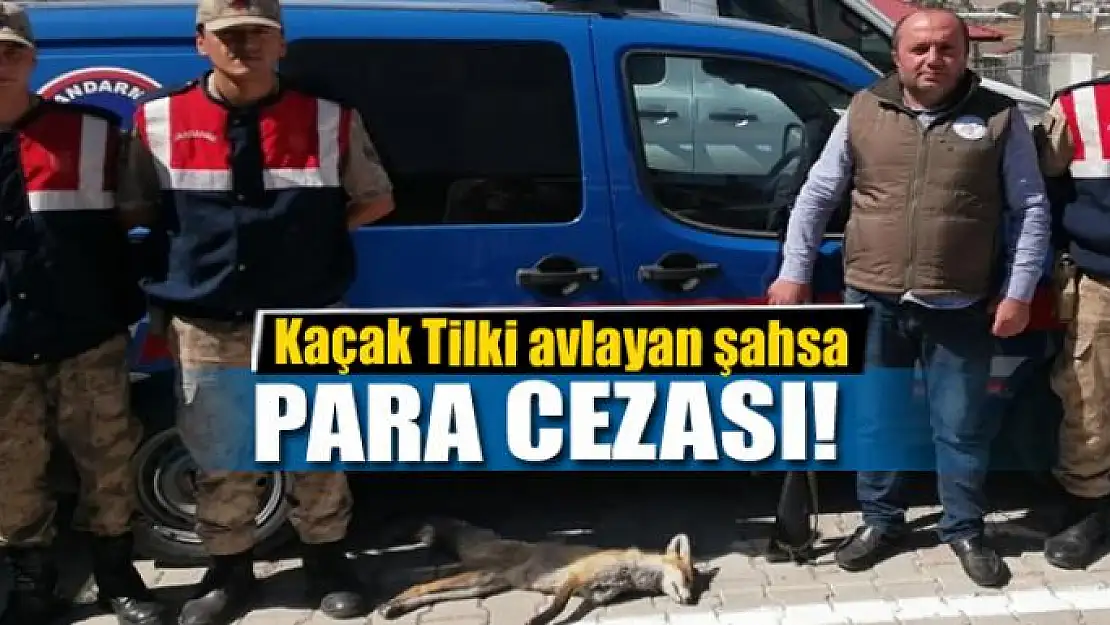 Çaldıran'da kaçak Tilki avlayan şahsa 2 bin 20 lira ceza