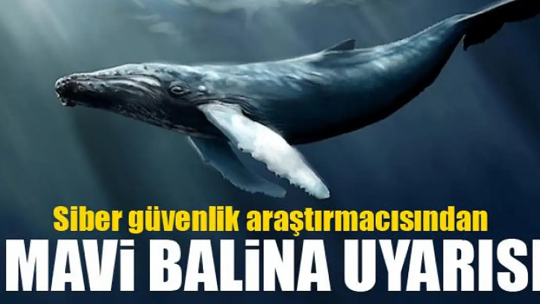 Siber güvenlik araştırmacısından 'Mavi Balina' uyarısı