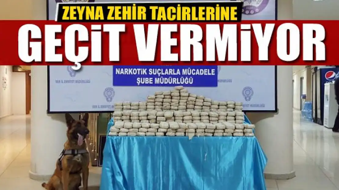 Zeyna zehir tacirlerine geçit vermiyor