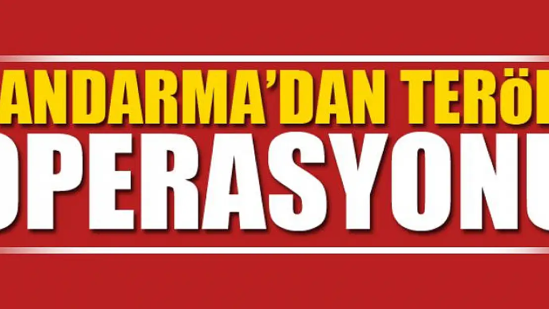 Jandarma'dan terör operasyonu