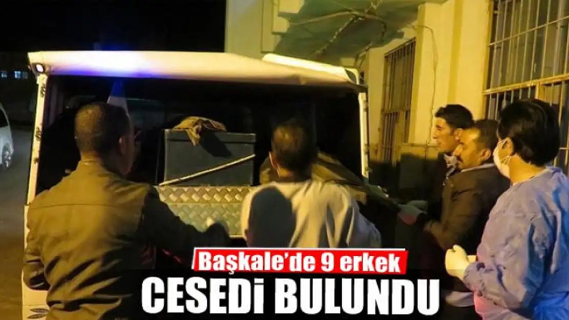 Başkale'de 9 erkek cesedi bulundu