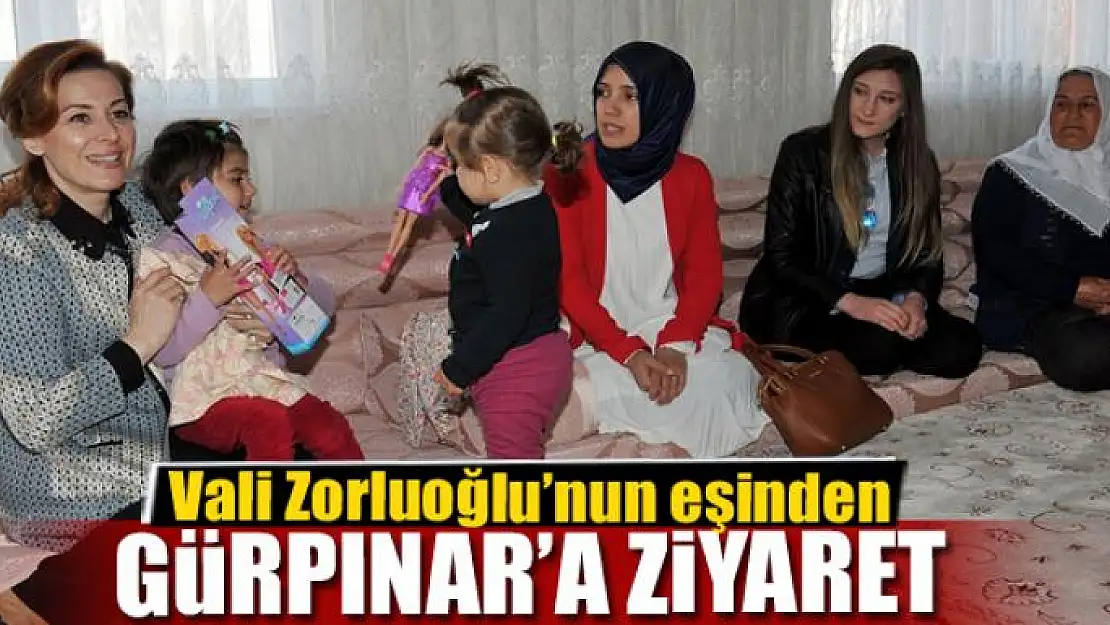 Vali Zorluoğlu'nun eşinden Gürpınar ilçesine ziyaret 