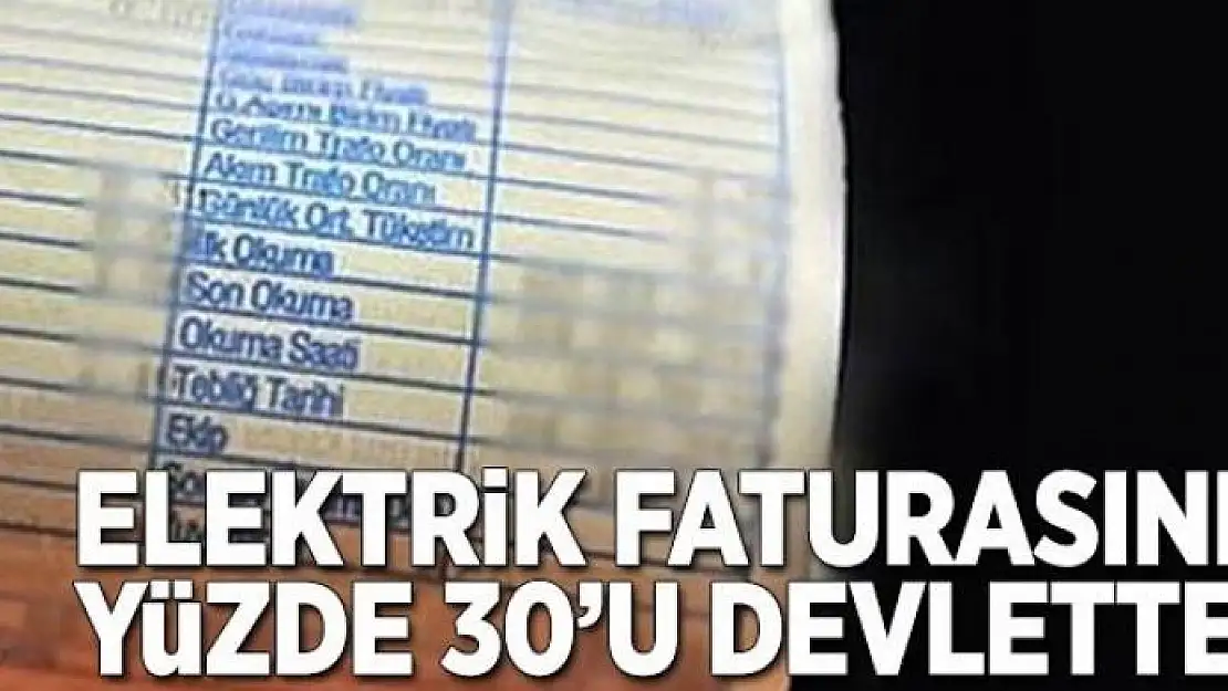 Elektrik faturasının yüzde 30'u devletten 