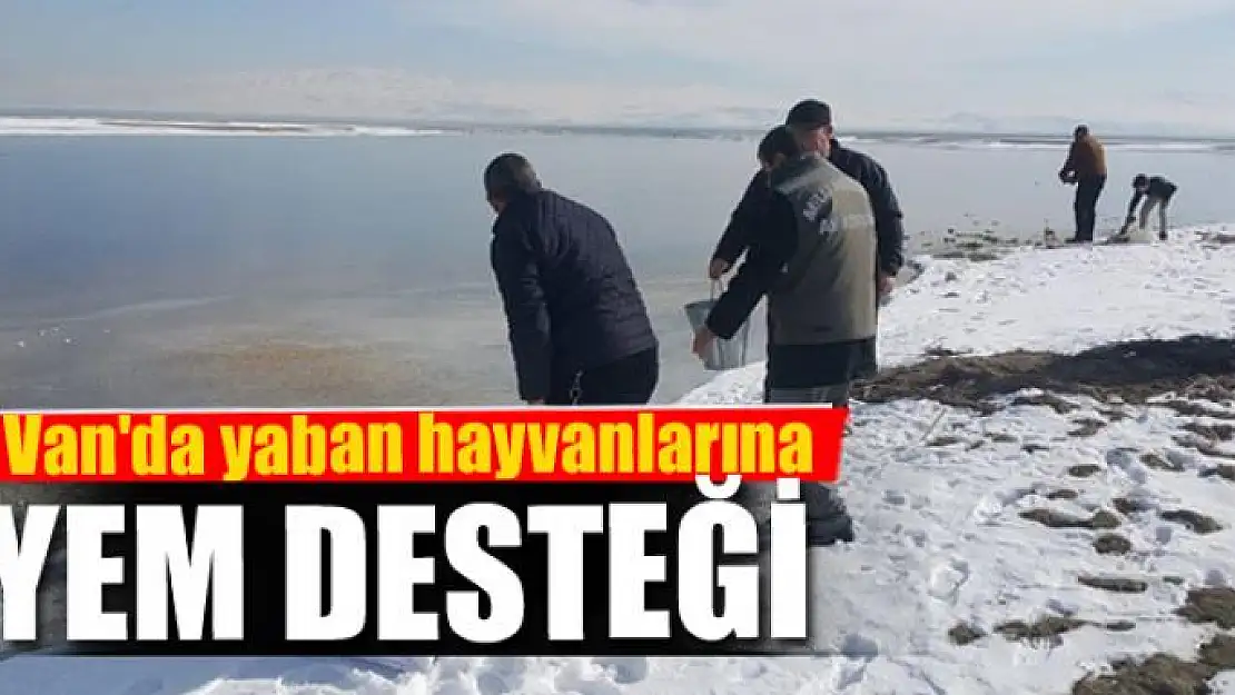 Van'da yaban hayvanlarına yem desteği