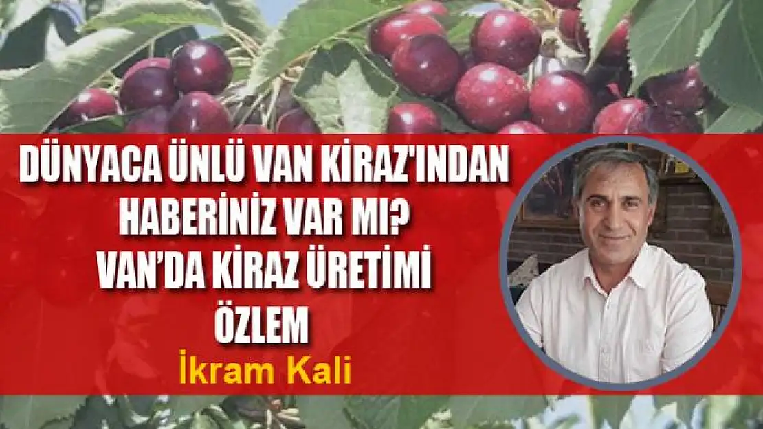 Dünyaca ünlü Van Kiraz'ından haberiniz var mı?