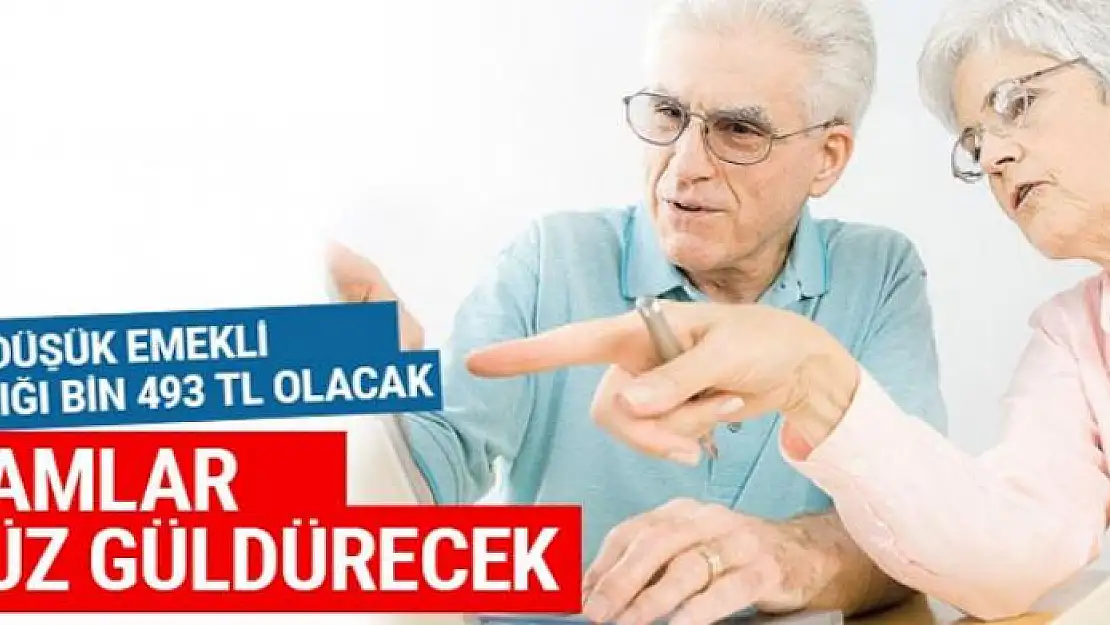 Yeni zamla en düşük emekli maaşı bin 493 TL olacak