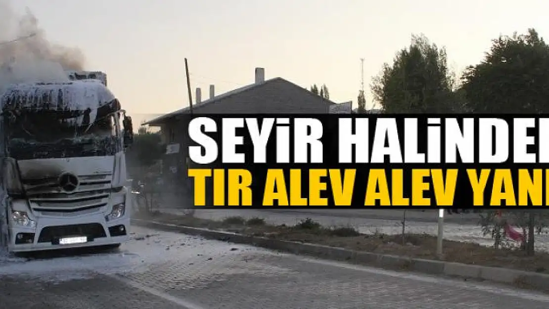 Seyir halindeki tır alev alev yandı