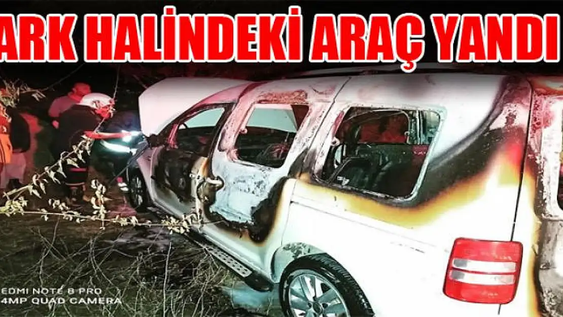 Van'da park halindeki araç yandı