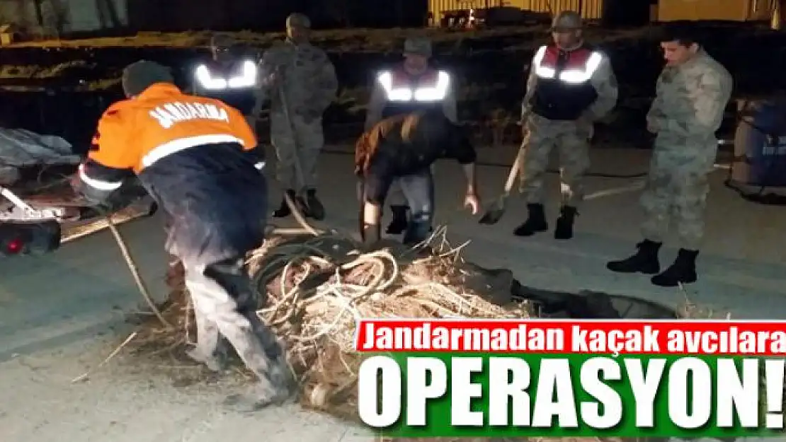 Jandarmadan kaçak avcılara operasyon