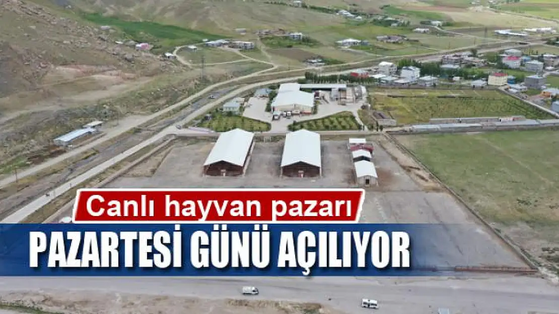 Canlı hayvan pazarı pazartesi günü açılıyor