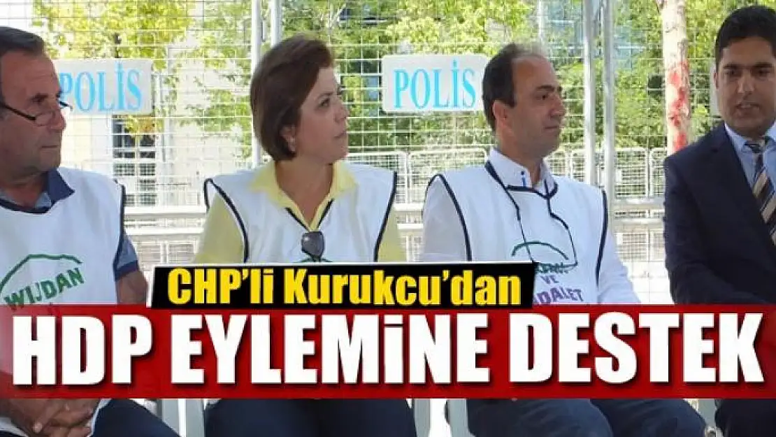 CHP'li Kurukcu'dan HDP eylemine destek