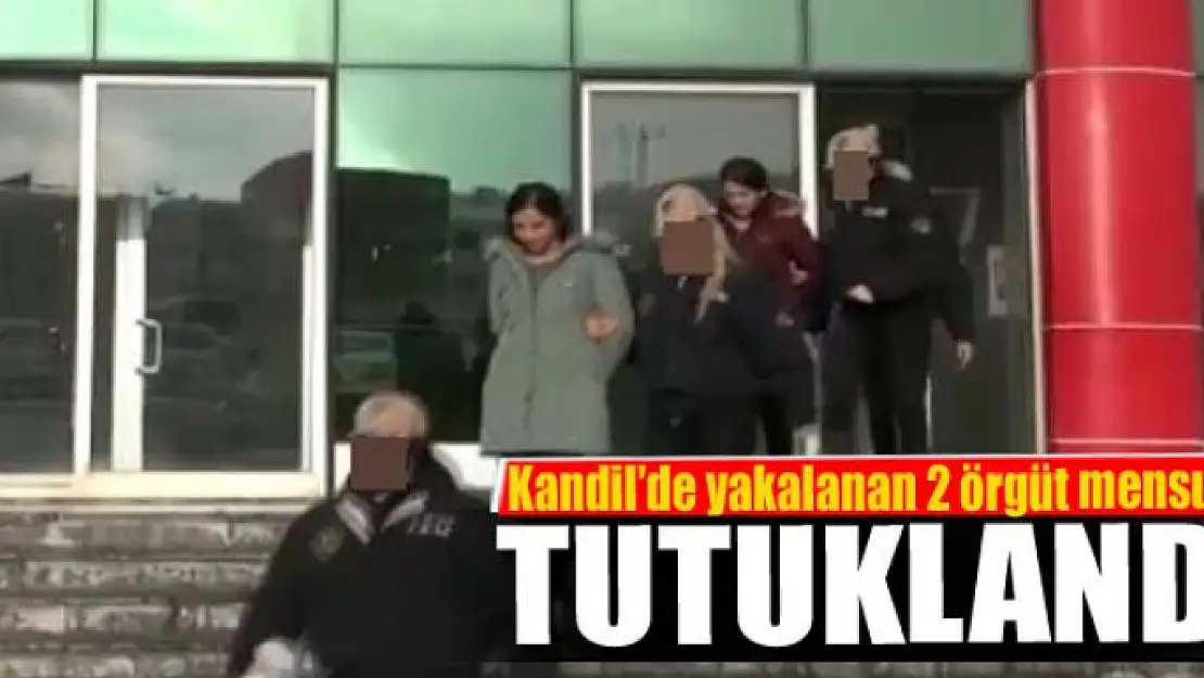 Kandil'de yakalanan 2 örgüt mensubu tutuklandı