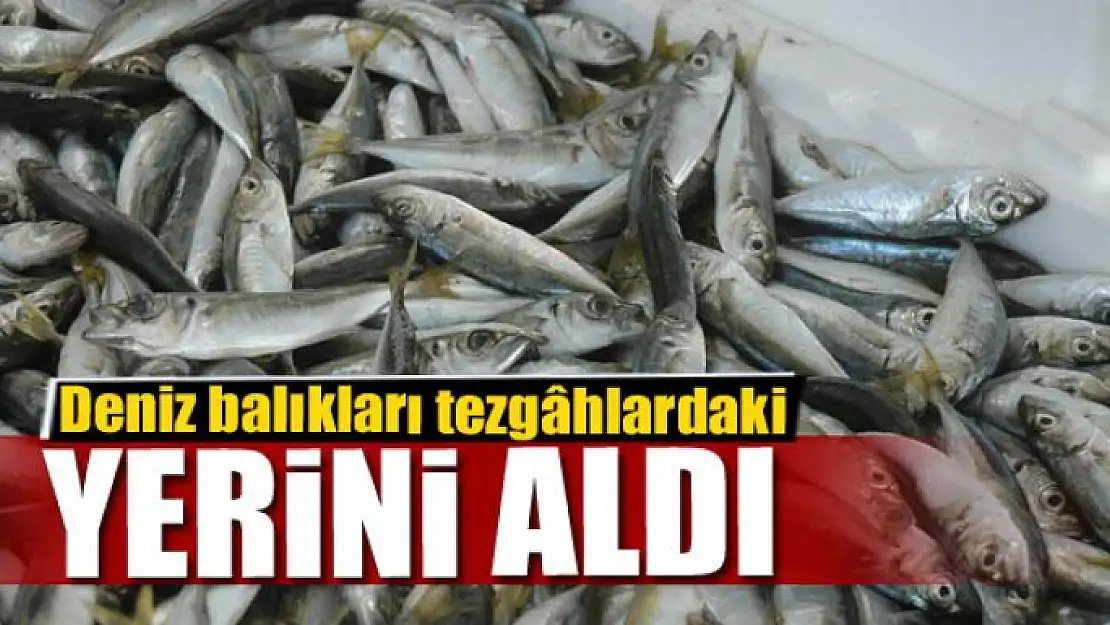 Deniz balıkları tezgâhlardaki yerini aldı