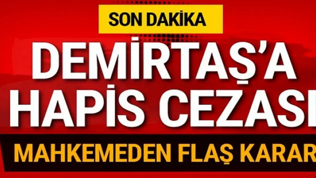 Selahattin Demirtaş hakkında hapis cezası!