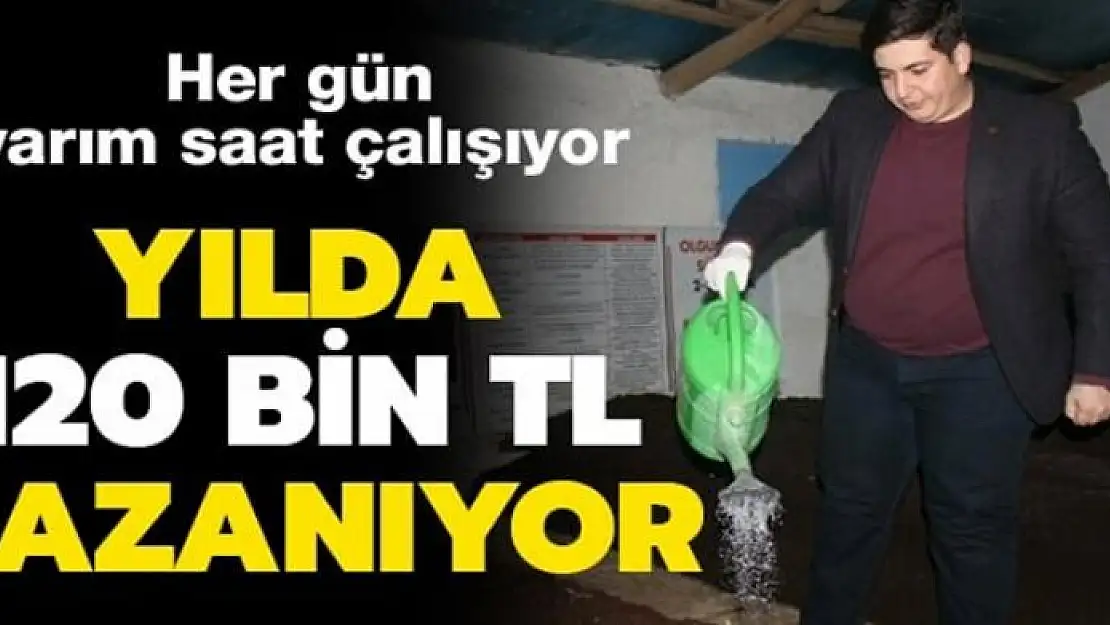 Her gün yarım saat çalışıyor: Yılda 120 bin TL kazanıyor