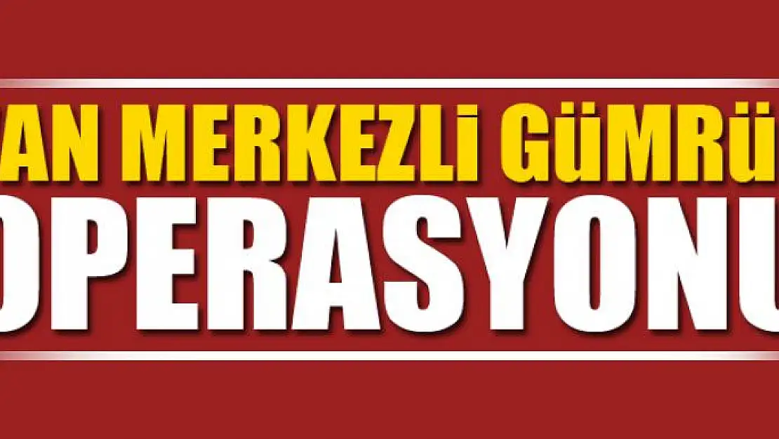 Van merkezli gümrük operasyonu