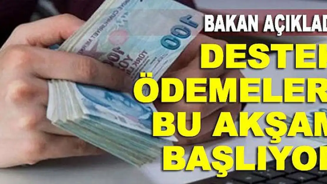 Bakan duyurdu! Destek ödemeleri bu akşam başlıyor