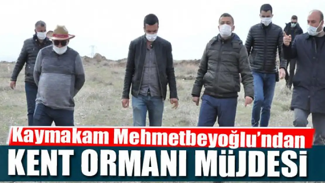 Kaymakam Mehmetbeyoğlu'ndan 'Kent Ormanı' müjdesi